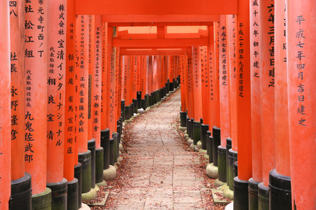 KYOTO, JAPAN - NOVEMBER 28, 2016: Torii gates of Fushimi Inari Taisha shrine in Kyoto, Japan. There are more than 10,000 tori gates at Fushimi Inari.のeditorial素材