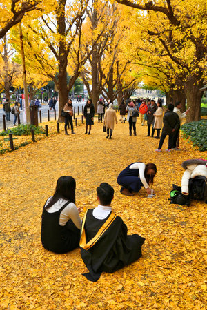 TOKYO, JAPAN - NOVEMBER 30, 2016: People celebrate Ginkgo Avenue autumn foliage in Tokyo, Japan. Icho Namiki Avenue is famous for its admiration of autumn leaves.のeditorial素材