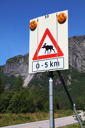Moose warning sign at a mountain road in Setesdal valley in Agder county, Norway.の写真素材