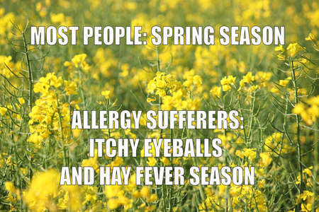 Allergies season funny meme for social media sharing. Spring time pollen allergy hayfever problems.の写真素材