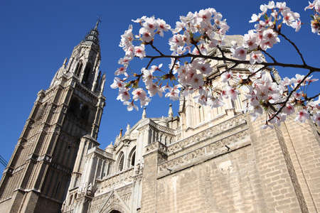 Spring in Spain - Toledo Cathedral with cherry blossoms.の写真素材