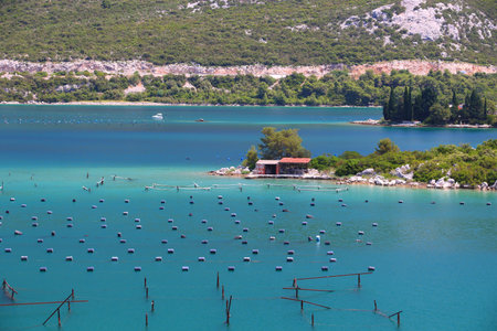 Croatia mussel farms - shellfish farming near Mali Ston bay (Peljesac Peninsula).の写真素材