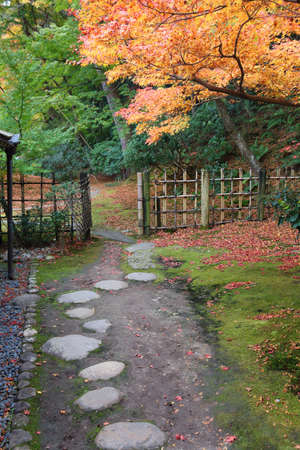 Japanese garden in Nara, Japan. Autumn color in Yoshikien Garden, Nara.