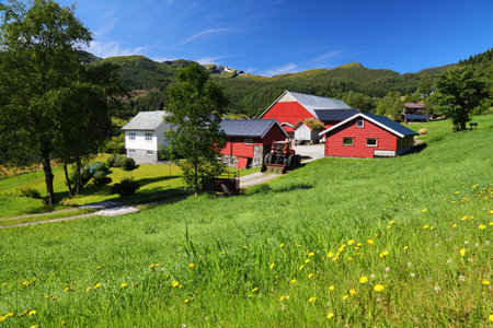 FORDE, NORWAY - JULY 24, 2020: Typical farmhouse in Forde, Sogn og Fjordane county. Norway has very intensive summer season in agriculture, with very short growing season.のeditorial素材