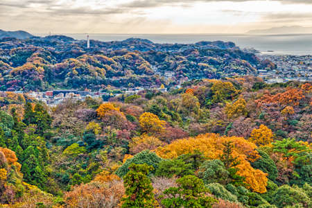 Kamakura autumn townscape in Japan. Sea in background.の写真素材