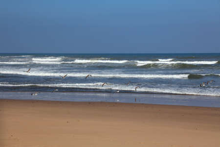 Morocco nature. Sidi Ifni beach landscape. Atlantic coast in Morocco.