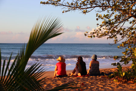 GUADELOUPE, FRANCE - NOVEMBER 30, 2019: People spend beach vacation at Plage de la Perle on Basse Terre island. Guadeloupe has 650,000 annual visitors.のeditorial素材