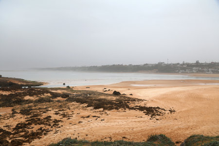 Morocco nature. Oualidia beach. Rainy day on Atlantic coast in Morocco.