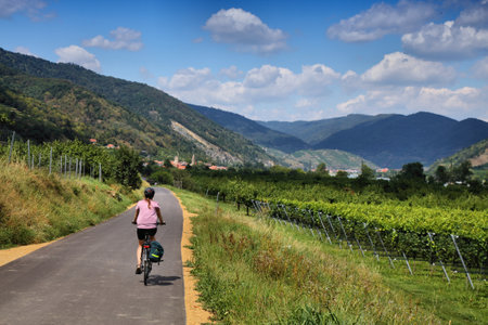 Danube Cycle Path (Donauradweg) in Wachau region. Long distance bicycle route in Austria.の写真素材