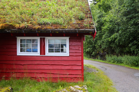 Norway sod roof traditional wooden cabin. Norwegian traditional architecture in Sogn district of Vestland county.の写真素材