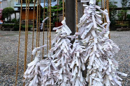 OSAKA, JAPAN - NOVEMBER 22, 2016: Omikuji paper fortunes tied to strings in Tsuyunoten Jinja (Ohatsu Tenjin) shrine in Sonezaki district, Osaka.のeditorial素材