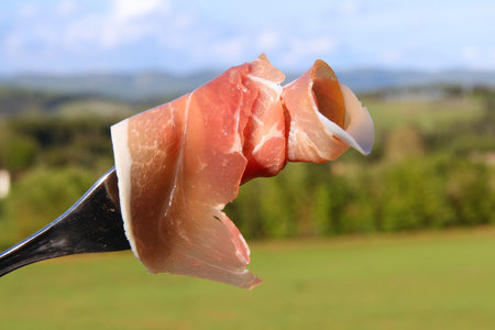 Italian cuisine - picnic in Tuscany. Prosciutto crudo - raw smoked ham slice.の写真素材