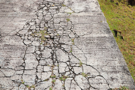 Damaged concrete road surface with weeds in Guadeloupe. Countryside road maintenance concept.