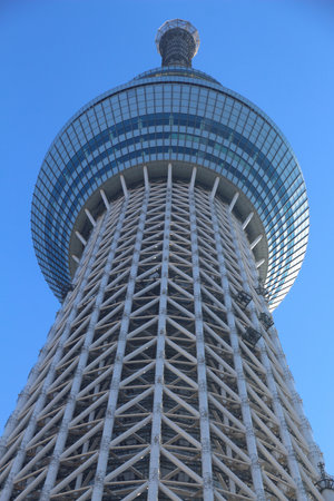 TOKYO, JAPAN - NOVEMBER 30, 2016: Tokyo Skytree Tower, tourist attraction in Japan. The TV tower is...
