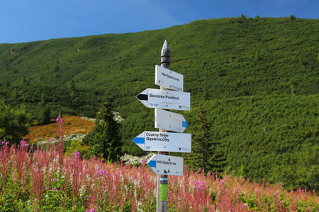 TATRA MOUNTAINS, POLAND - SEPTEMBER 9, 2023: Hiking trail directions on a sign in Hala Gasienicowa valley in Tatrzanski Park Narodowy (Tatra National Park) in Poland.のeditorial素材