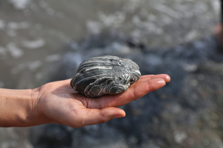 Dead Sea mud in Israel. Dead Sea mud handful. It has medicinal properties and is used in skin care...