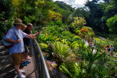 DESHAIES, GUADELOUPE - DECEMBER 2, 2019: People visit Deshaies Botanical Garden on Basse-Terre island of Guadeloupe.のeditorial素材