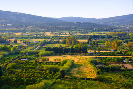 Sardinia agricultural landscape in Posada. Rural landscape in Province of Nuoro. Orchards of...