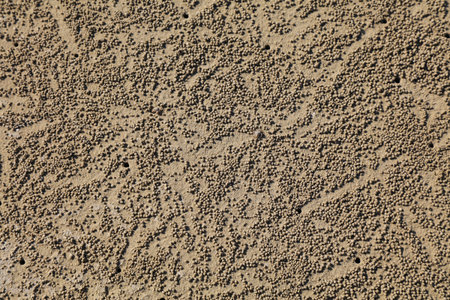 Balls of sand produced by burrowing sand bubbler crabs on a beach in Kota Kinabalu, Malaysia.