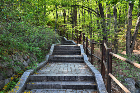 Namsan Park in Seoul. Path in public park in South Korea.