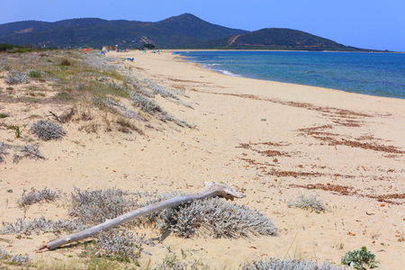 San Giovanni beach (Spiaggia di San Giovanni). Sandy beach in San Giovanni di Posada in Sardinia island, Italy.の写真素材