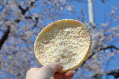Round puff pastry. Rice puffed cakes, popular Korean snack. Cuisine of South Korea. Cherry blossoms...
