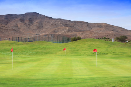 Putting green on a golf course in Fuerteventura. Recreational area in Fuerteventura, Canary Islands.の写真素材