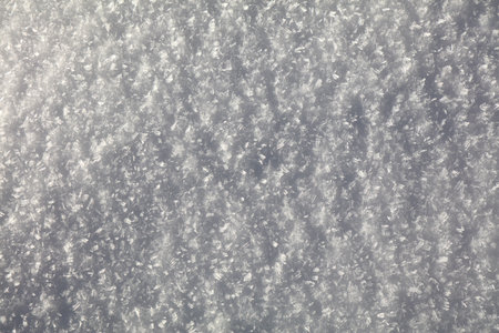 Fresh snow background texture. White winter backdrop.の写真素材