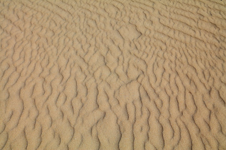 Sand pattern texture in Fuerteventura, Spain. Desert dune sand ripples background.の写真素材