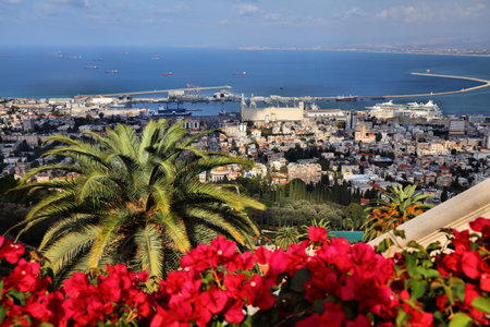 Cityscape of Haifa, Israel. Palm tree, Lower City and harbor.の写真素材