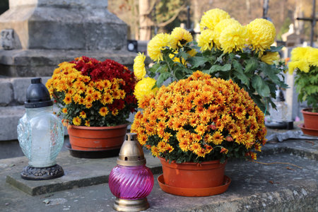 Candles and chrysanthemum flowers at Rakowicki Cemetery in Krakow. The historic Rakowice necropolis is a cultural heritage monument.の写真素材