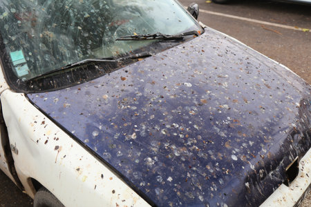Bird poop on car hood. Dirty, stained car covered in bird poop. Parking problem.の写真素材