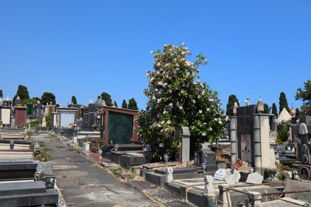CATANIA, ITALY - AUGUST 14, 2024: Graves of Cimitero Monumentale (Monumental Cemetery) of Catania...