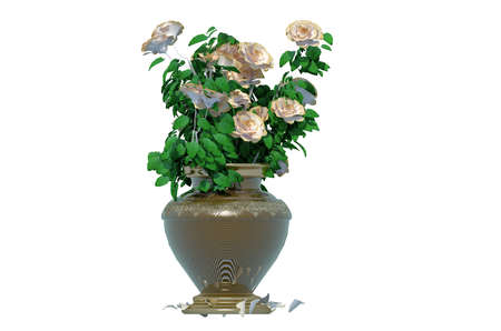 plant iSolated Collectionの写真素材