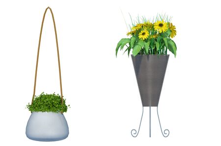 plant iSolated Collectionの写真素材