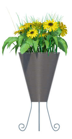 plant iSolated Collectionの写真素材