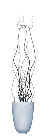 plant iSolated Collectionの写真素材