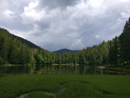 Magical synevir lake in Ukraineの写真素材
