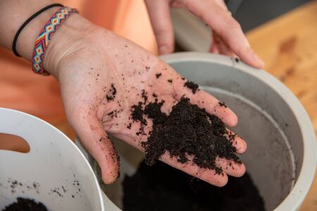 Female holding potting soil with her bare handの写真素材