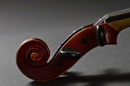 Old Violin closeup