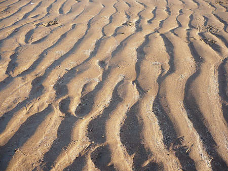 Ripples in the sand left by the tides