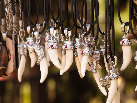 Wolf tooth necklaceの写真素材