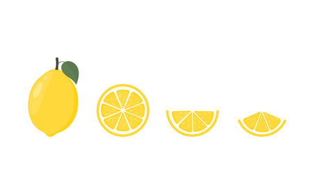 Lemon icon set. Vector illustration in flat style on white background.のイラスト素材