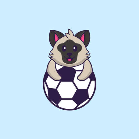 Cute cat playing soccer. Animal cartoon concept isolated. Can used for t-shirt, greeting card, invitation card or mascot.のイラスト素材