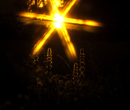 God's graceの写真素材