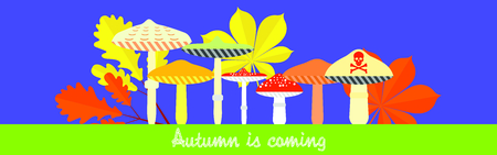 Autumn is comingのイラスト素材