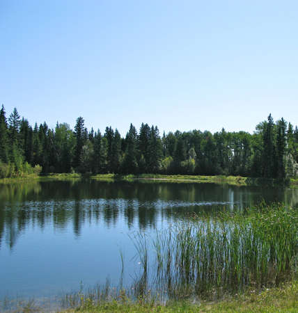 Trout pondの写真素材