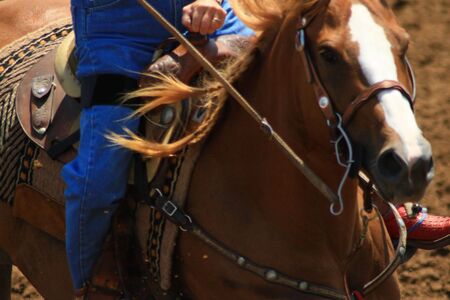 Horse and lady in a barrel race competionの写真素材