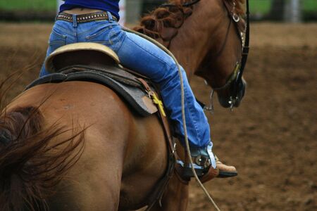Lady and horseの写真素材