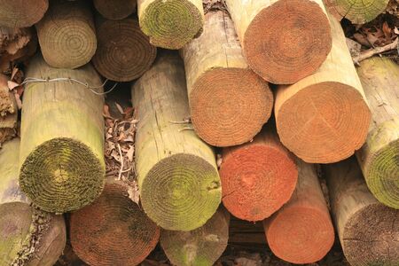 Stack of wood fence posts